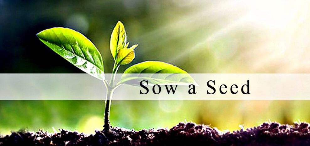 Sow a Seed 988 x 465 for all products page.jpg
