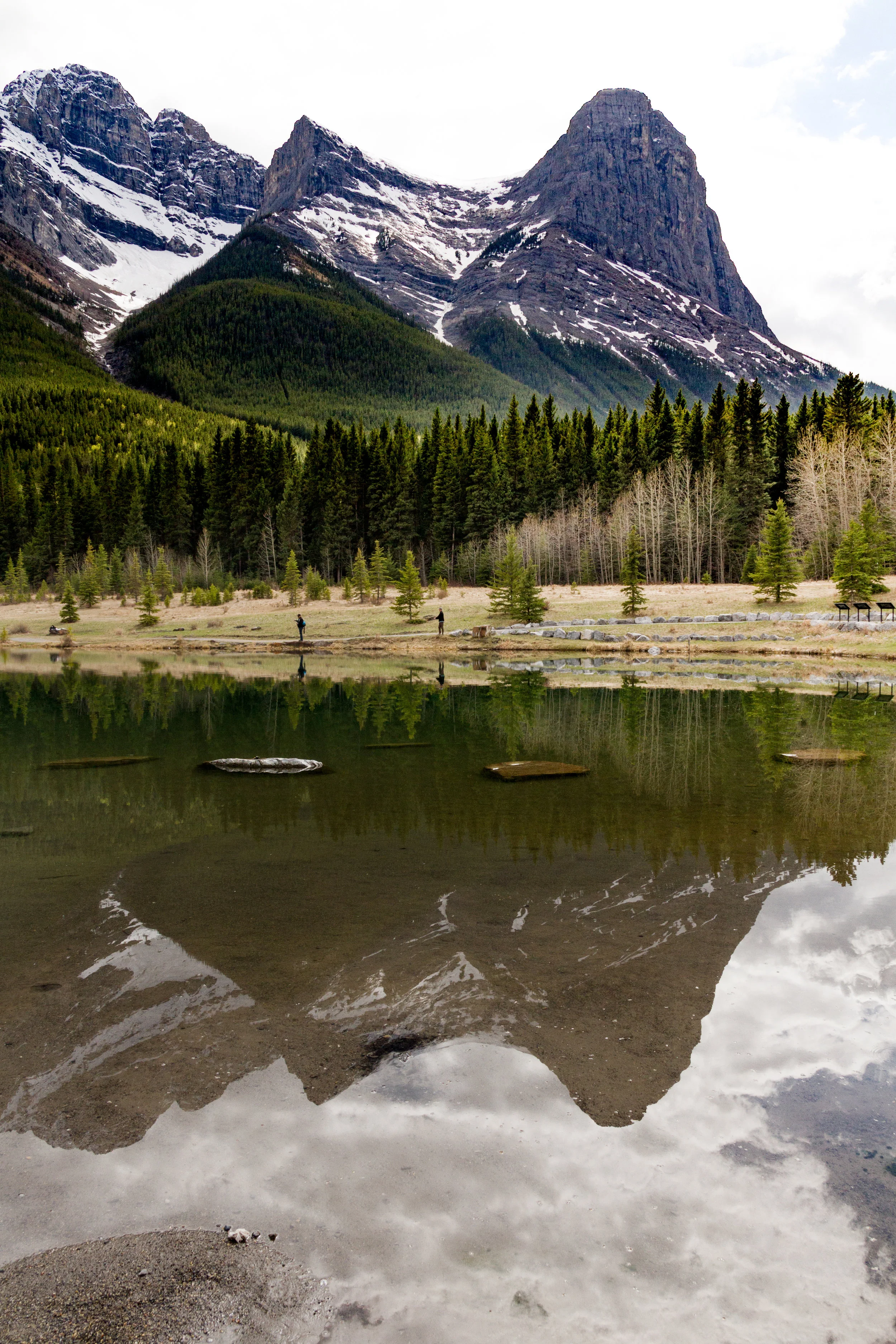 _MG_2653.jpg