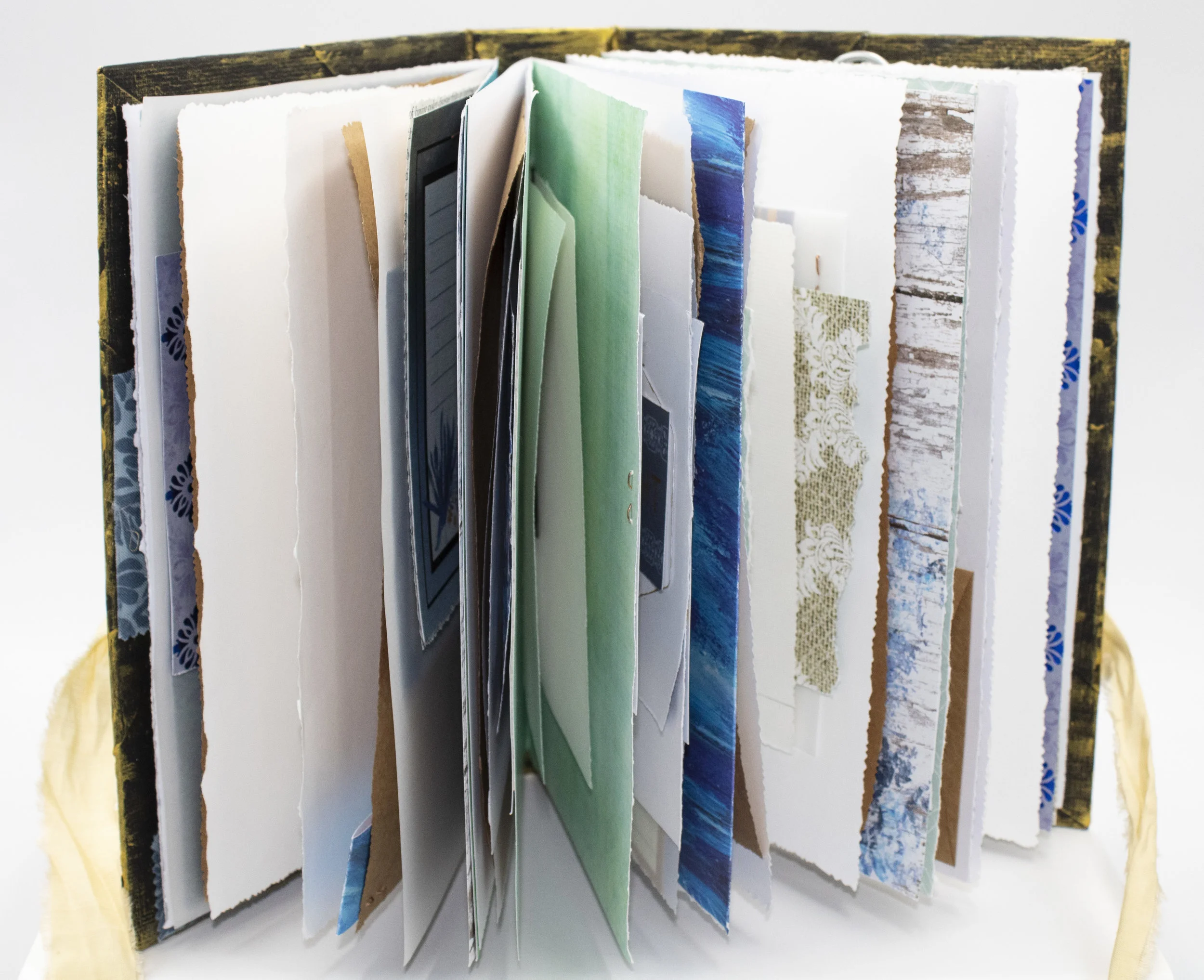 Shady Carmine Inside fan.jpg