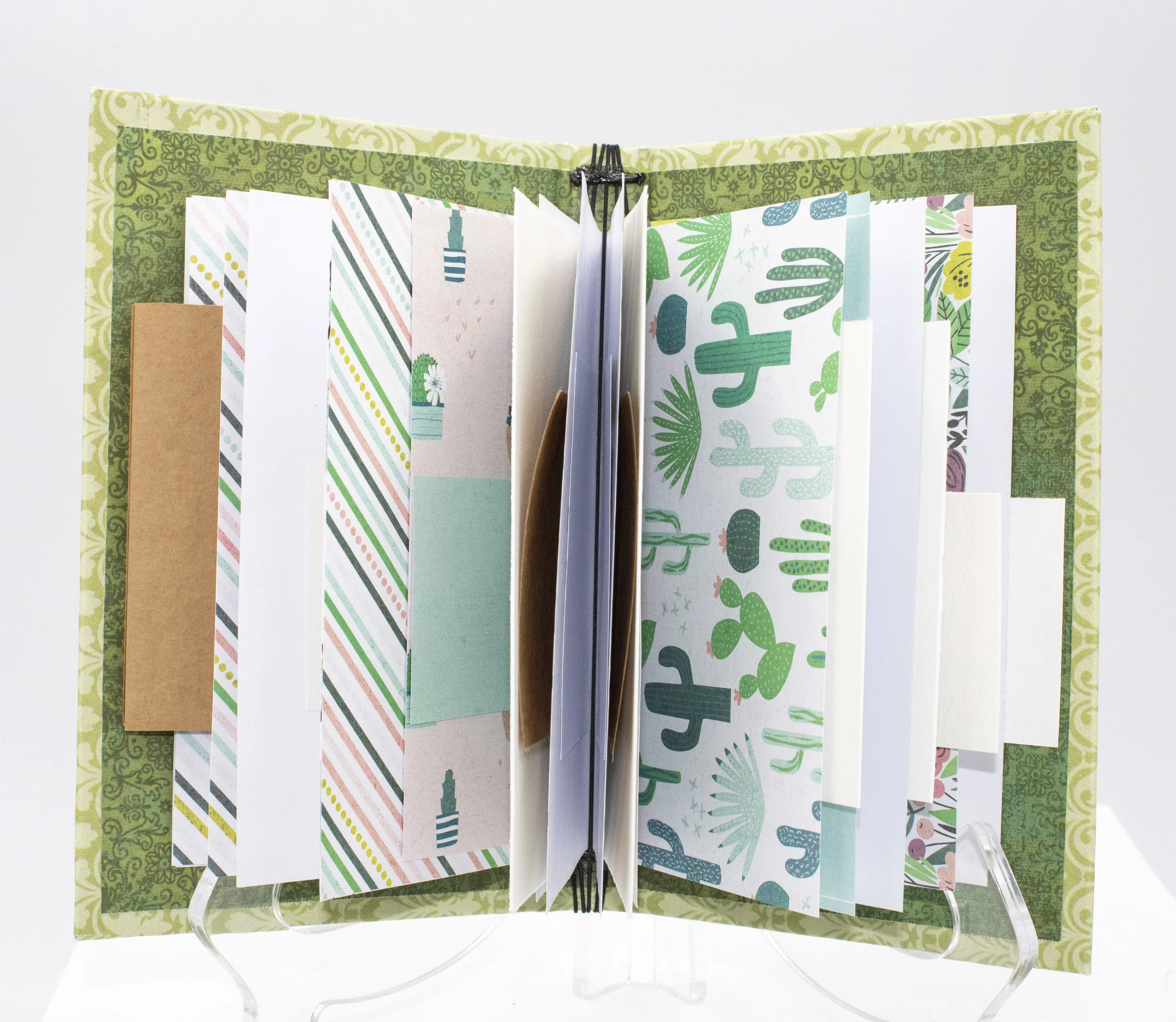 Cactus Journal fan open.jpg