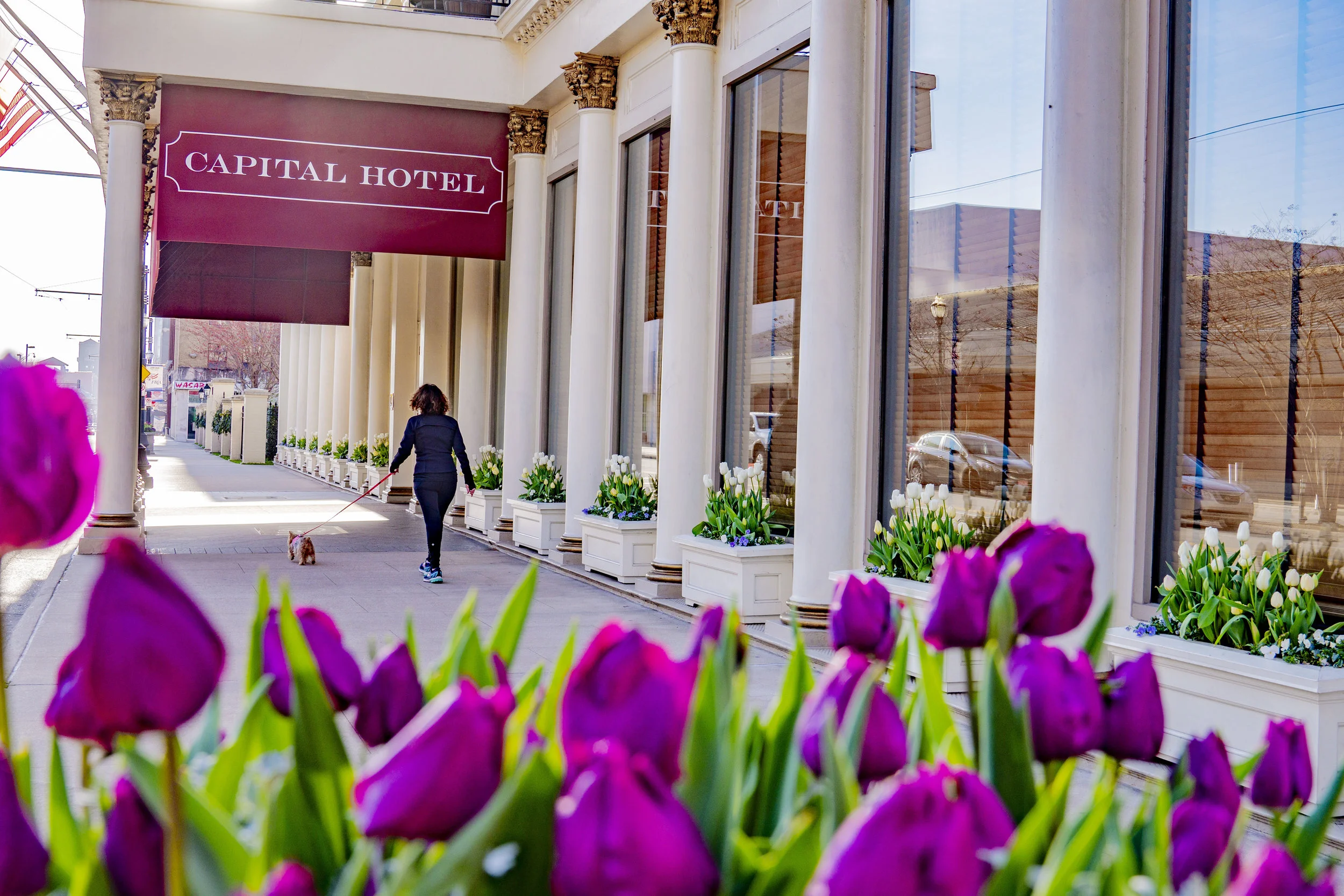 Little Rock Capital Hotel