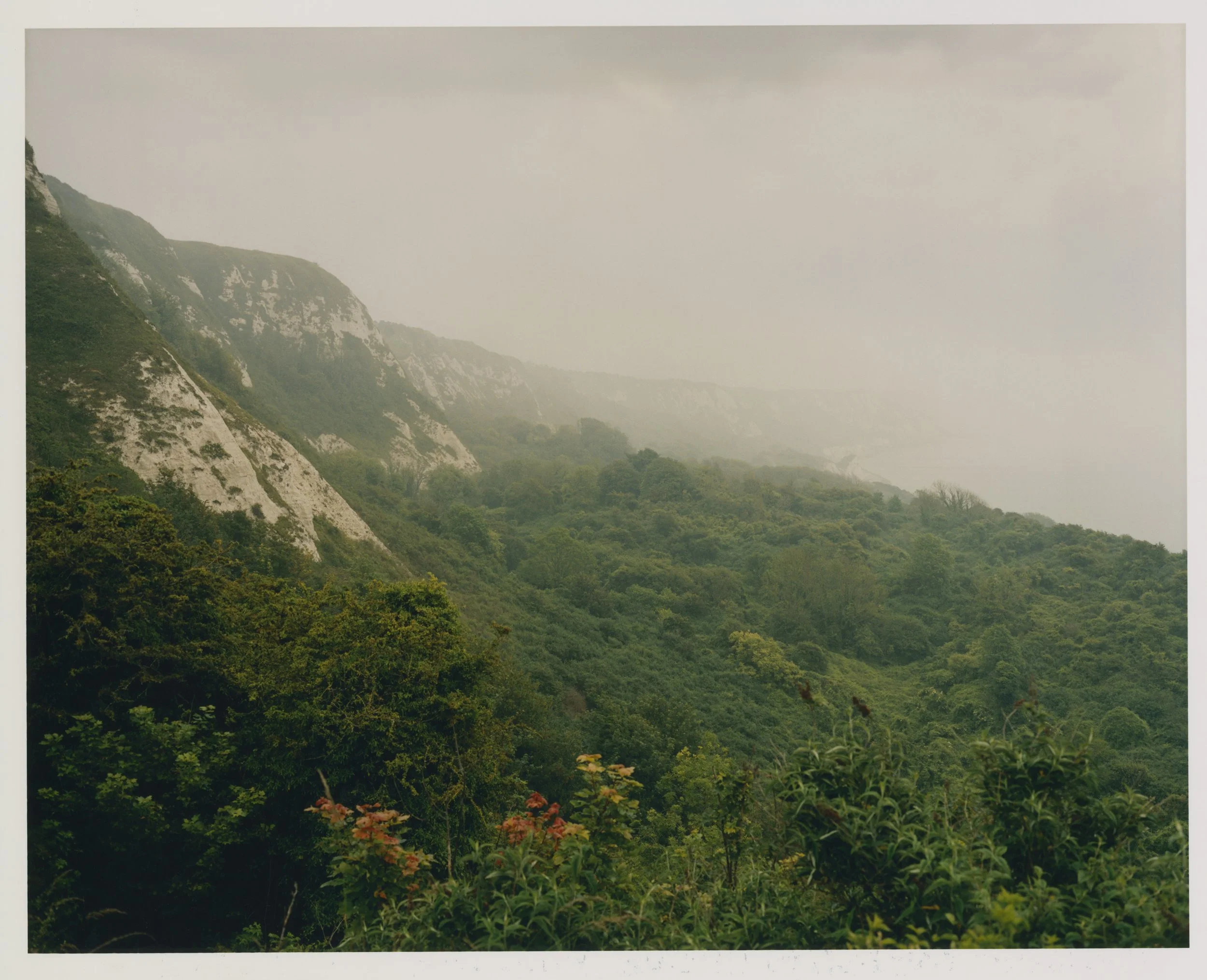 20210628_MAINSTORY_PRINTS (3).jpg