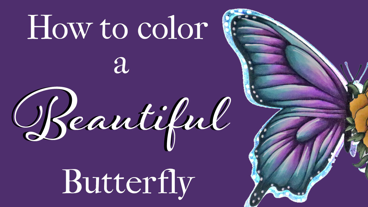 How to color a beautiful butterfly