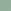 PC 120 - Sap Green Light