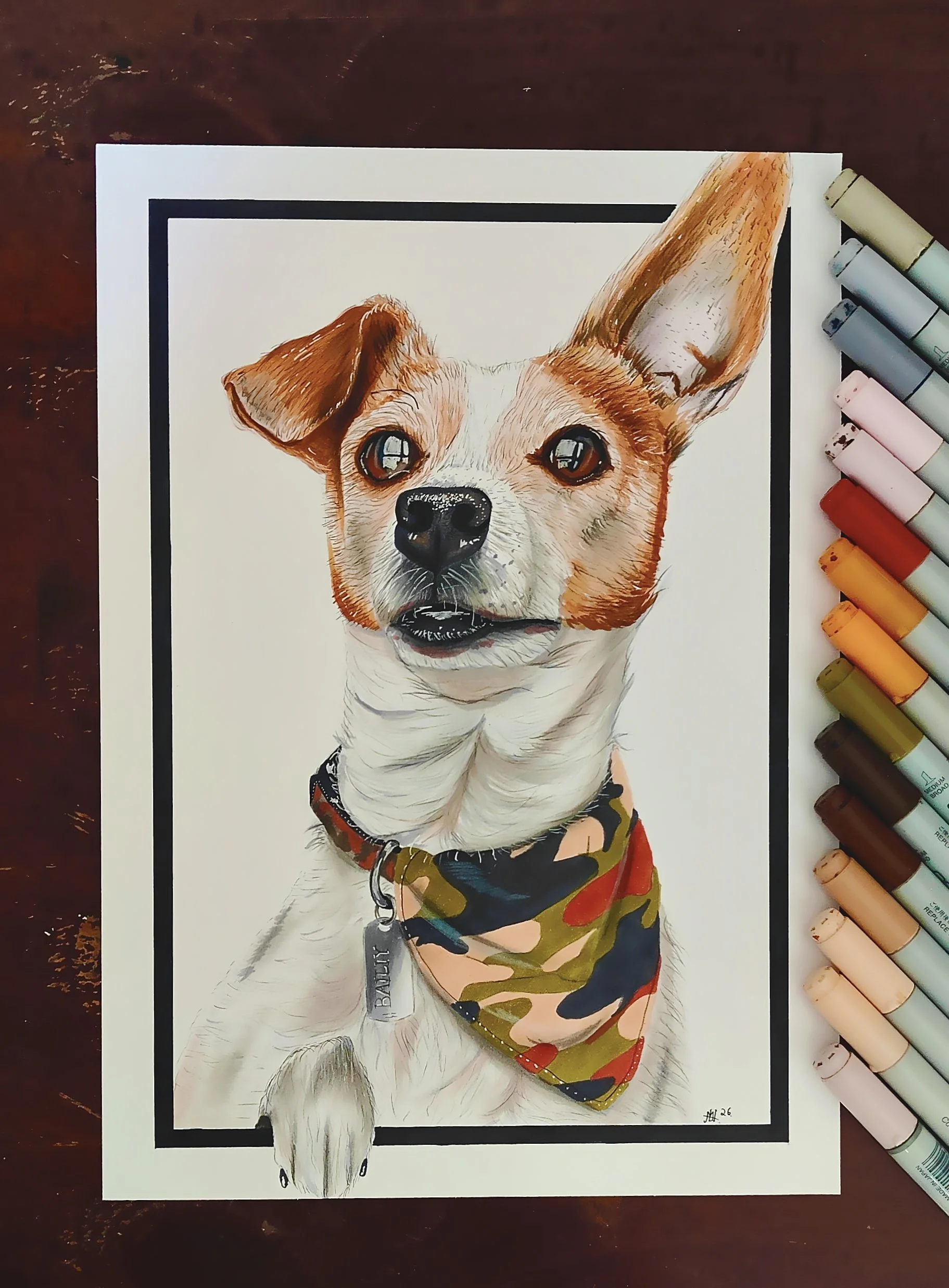 Danish-Swedish Farm Dog Drawing