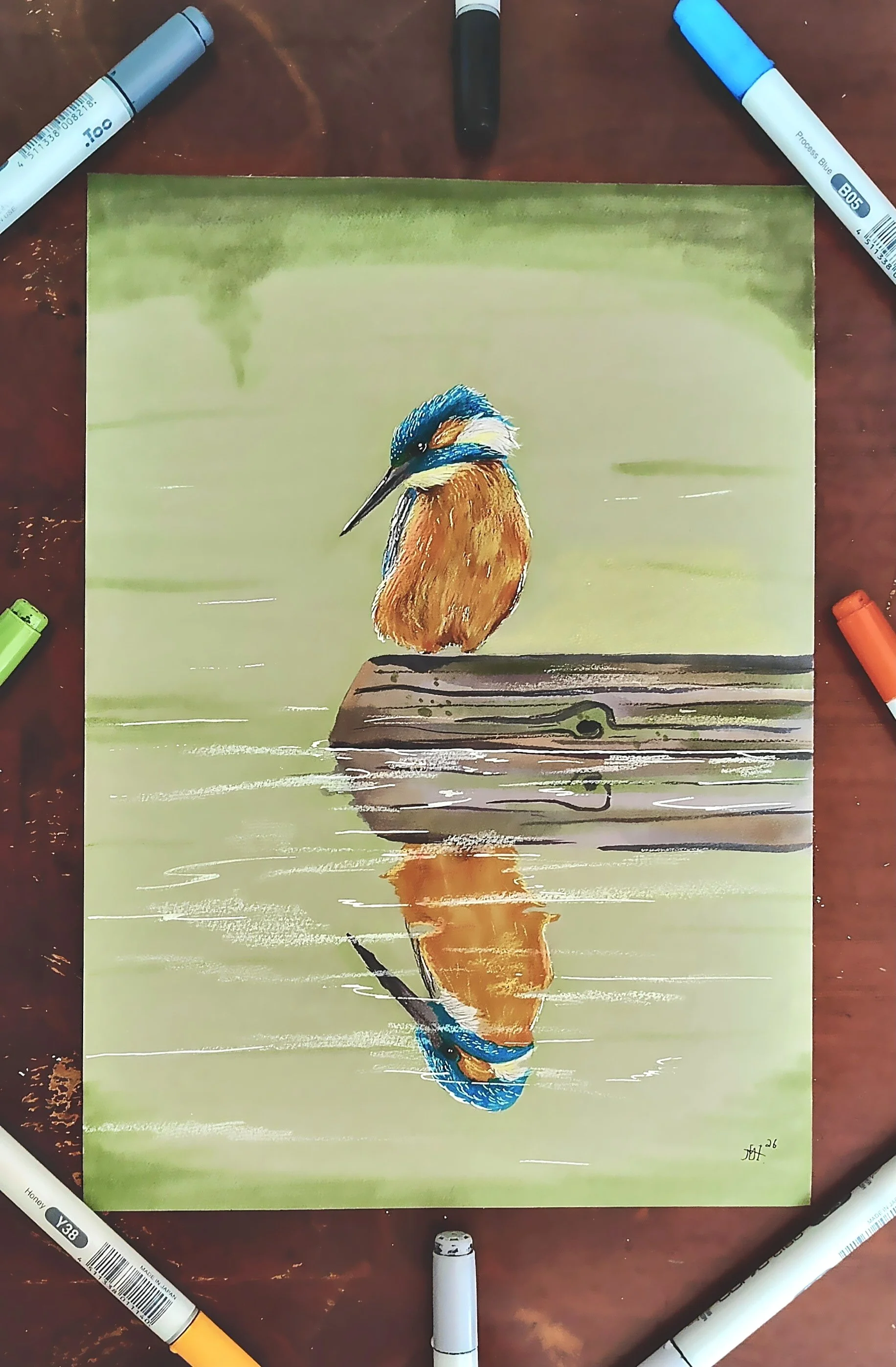 Kingfisher drawing