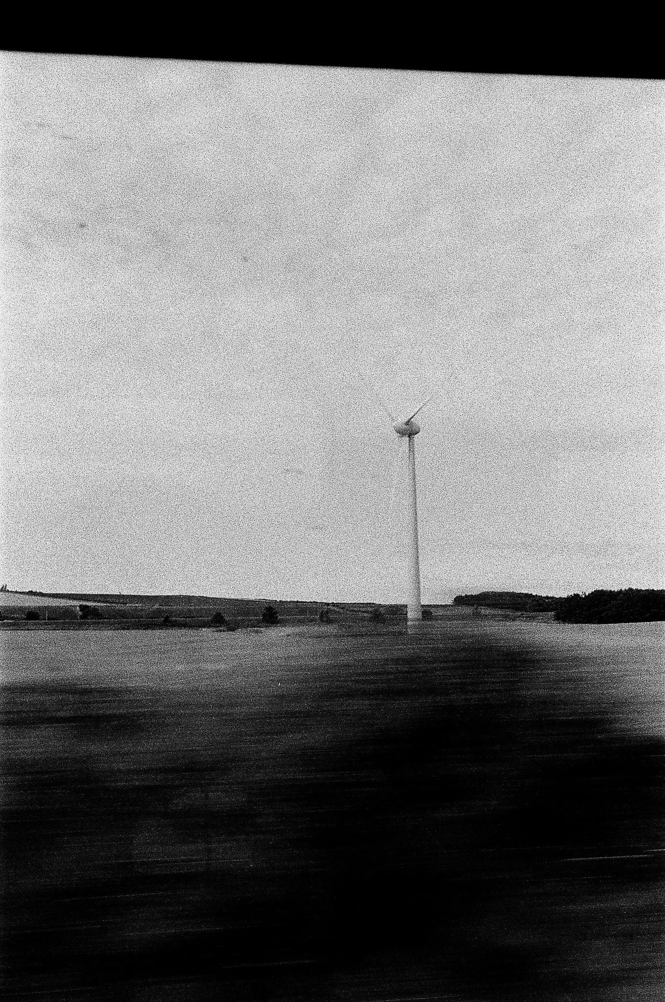 000085320015.jpg