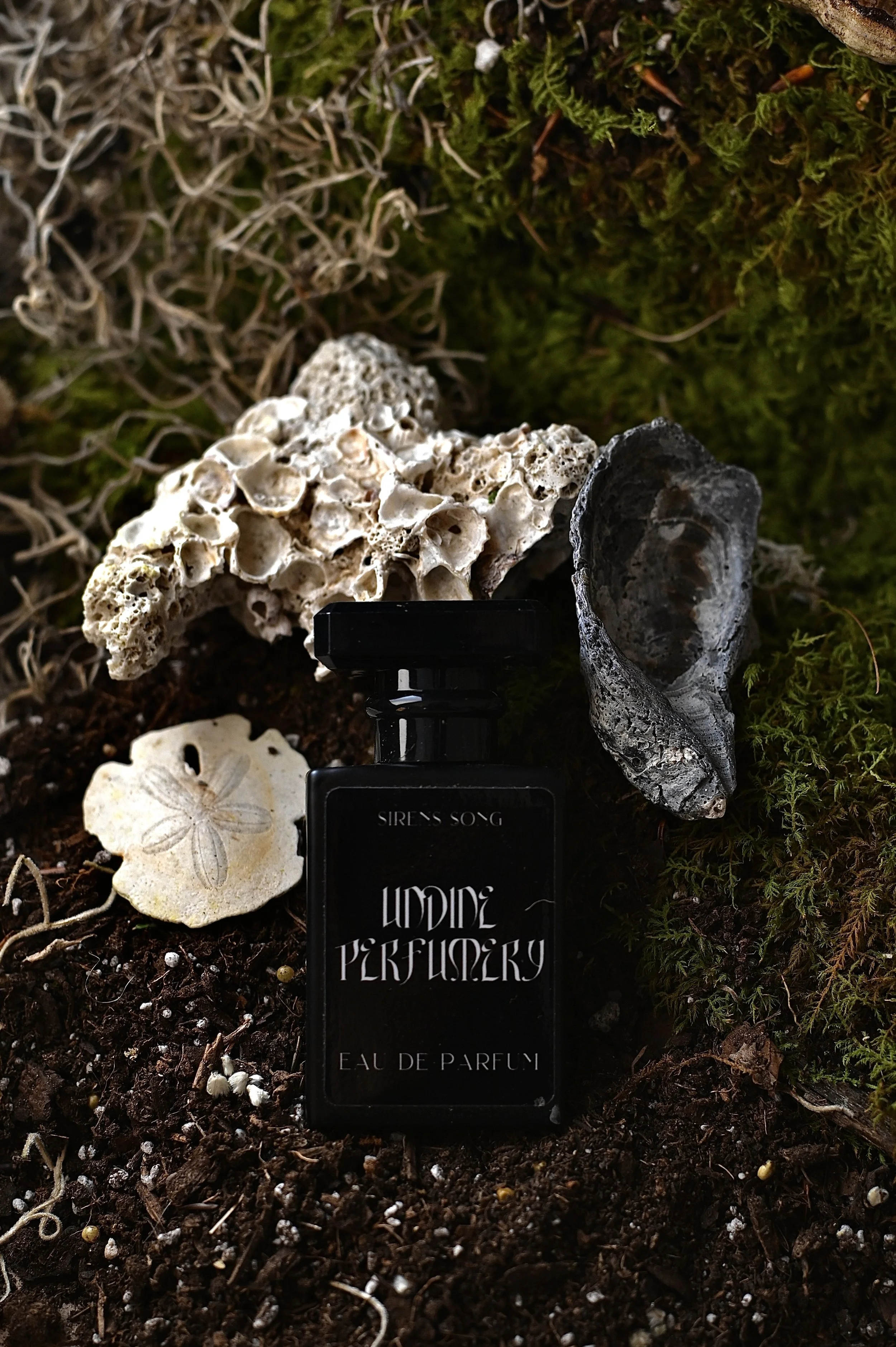 Undine Photo Siren Song.JPG