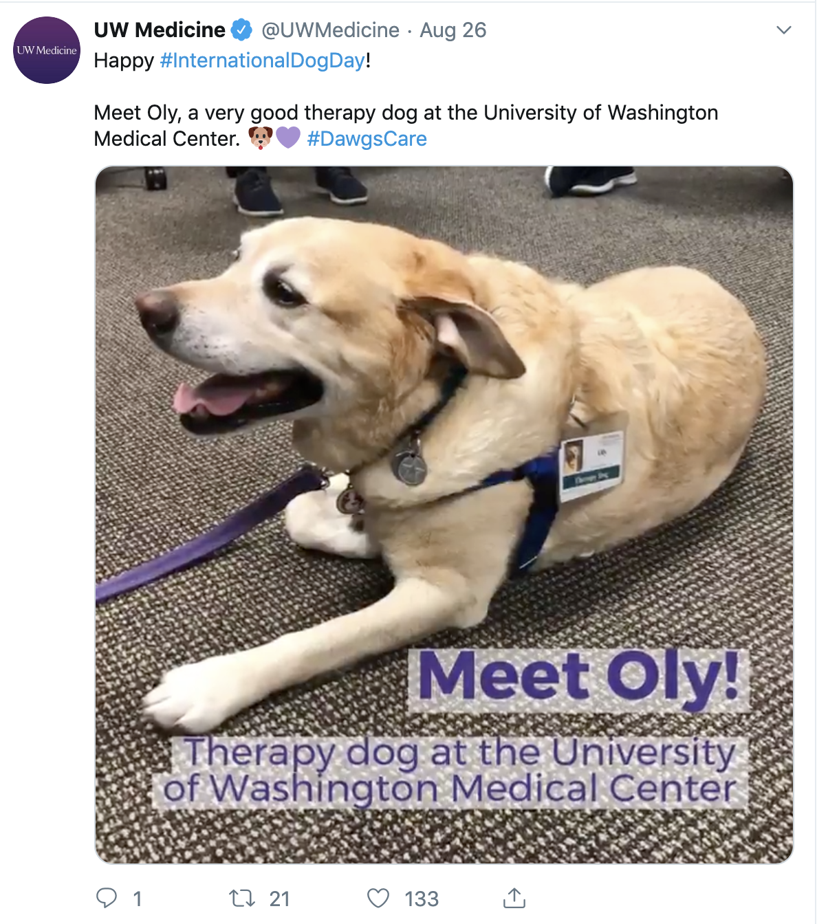 Screen Shot 2019-09-01 at 6.18.17 PM.png