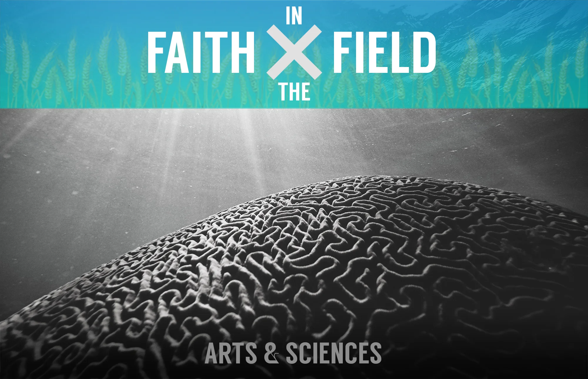 FxF: God on the Brain, A&amp;S