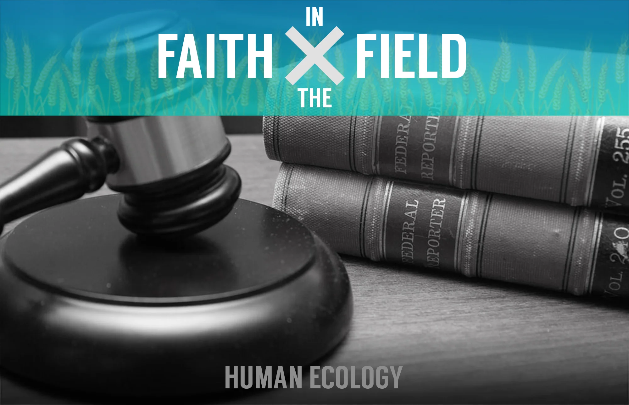 FxF: Policies for the Powerless