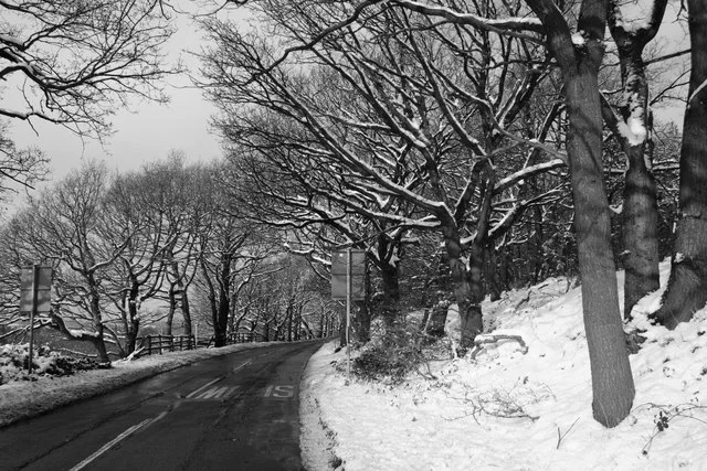 In the Bleak Midwinter (Advent 2)