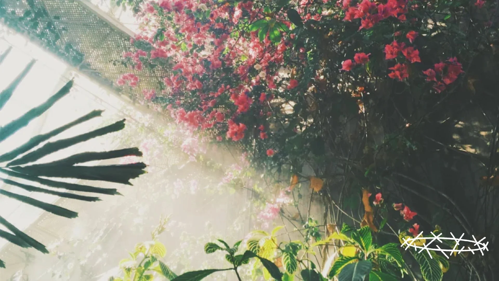 Community and the Psalms