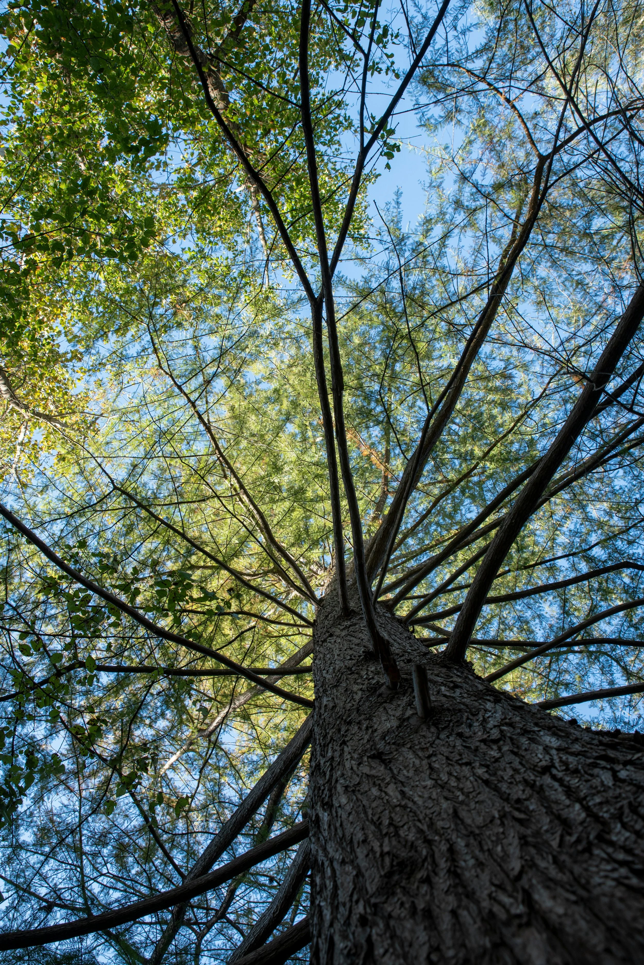 Refocused and Renewed