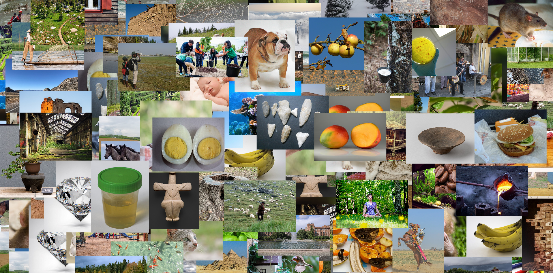 Nature3.PNG
