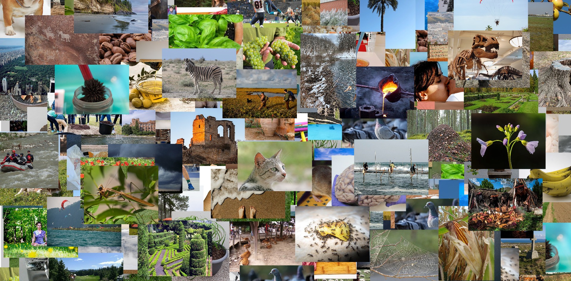 Nature2.PNG