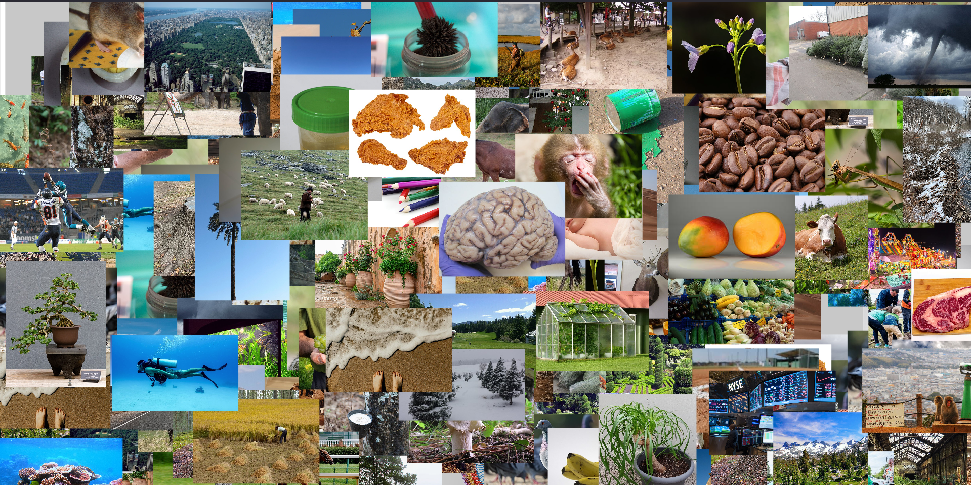 nature8.PNG