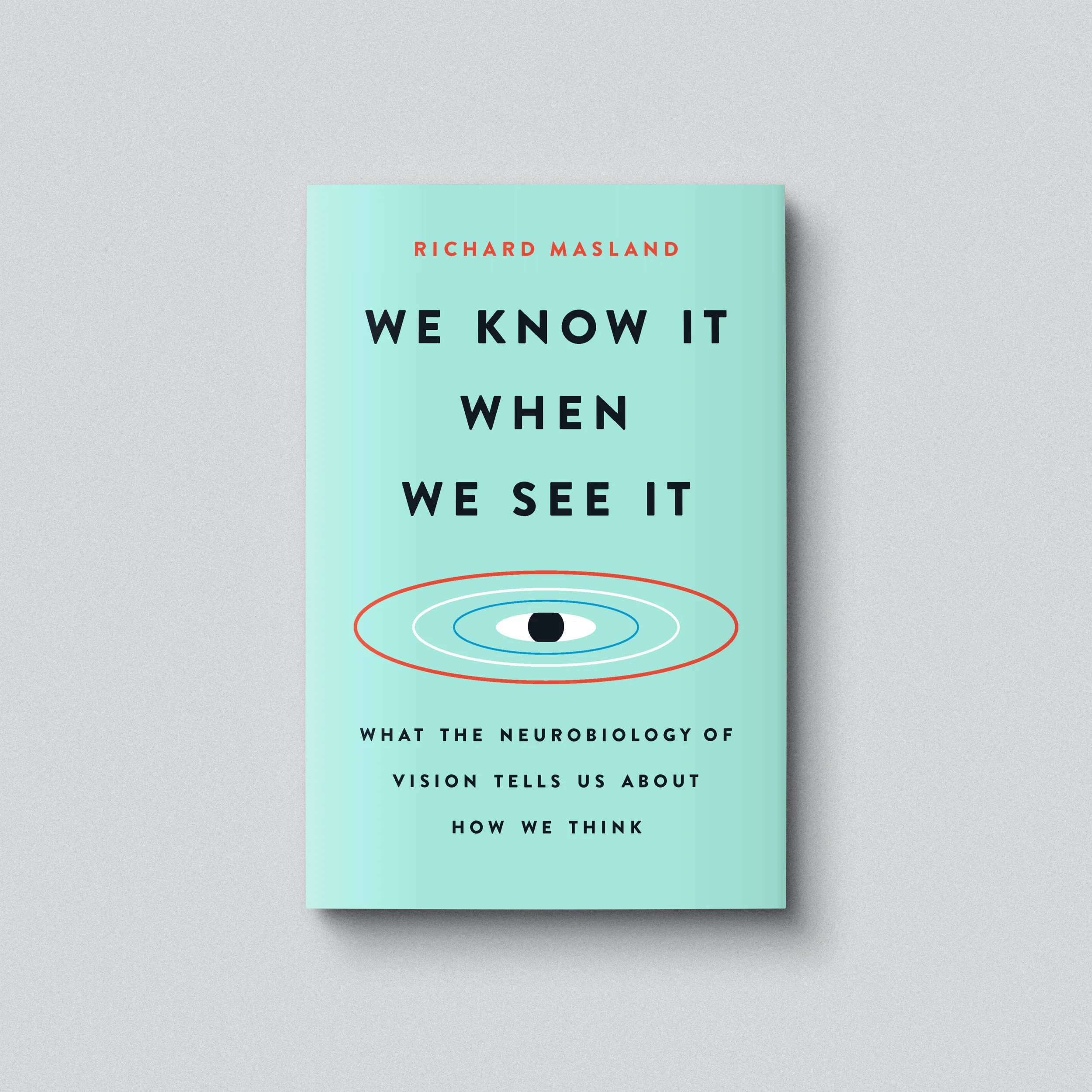 We Know It When We See It Book Cover Design