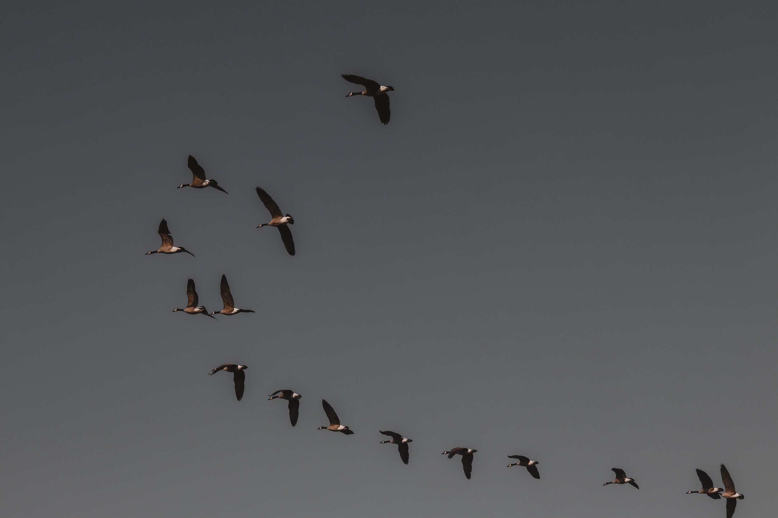 Yoga Classes In Indianapolis Fountain Square Yoga yoga-classes-in-indianapolis-fountain-square-yoga