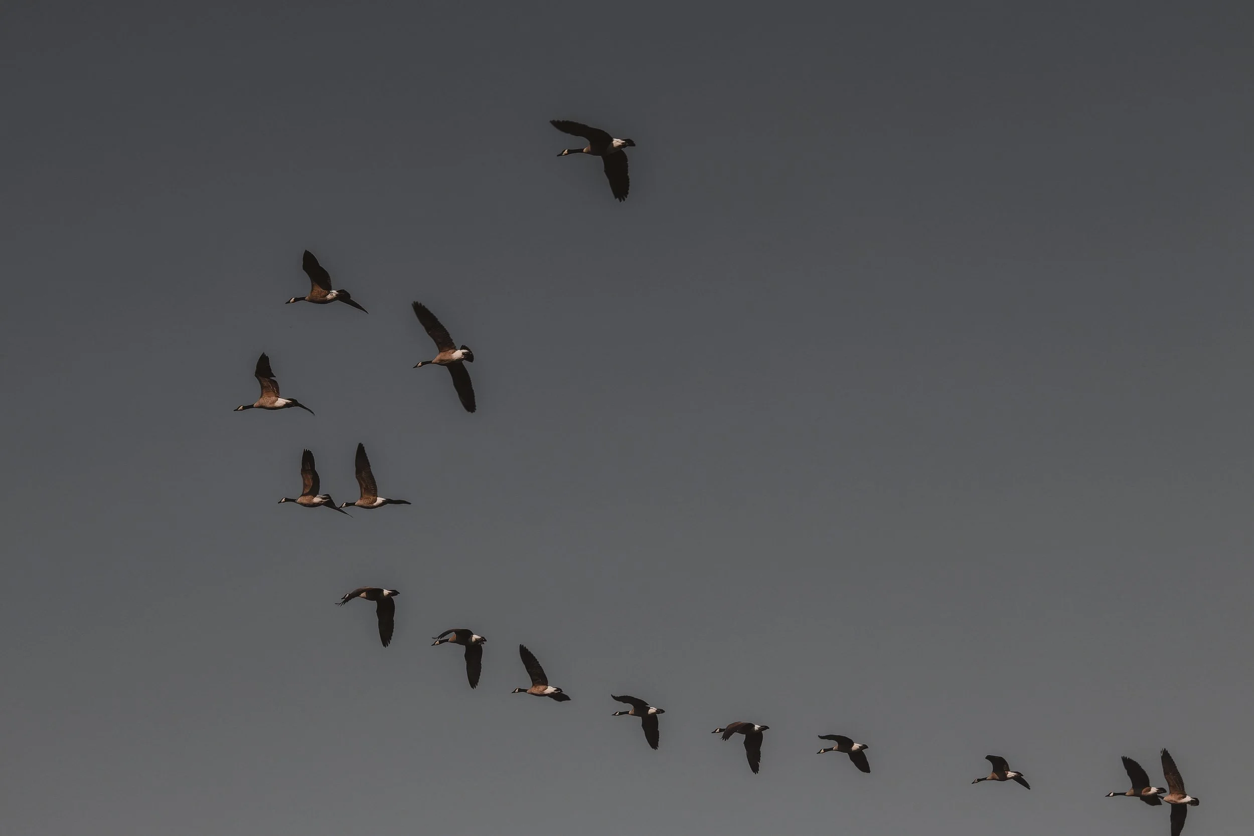 yoga-classes-in-indianapolis-fountain-square-yoga