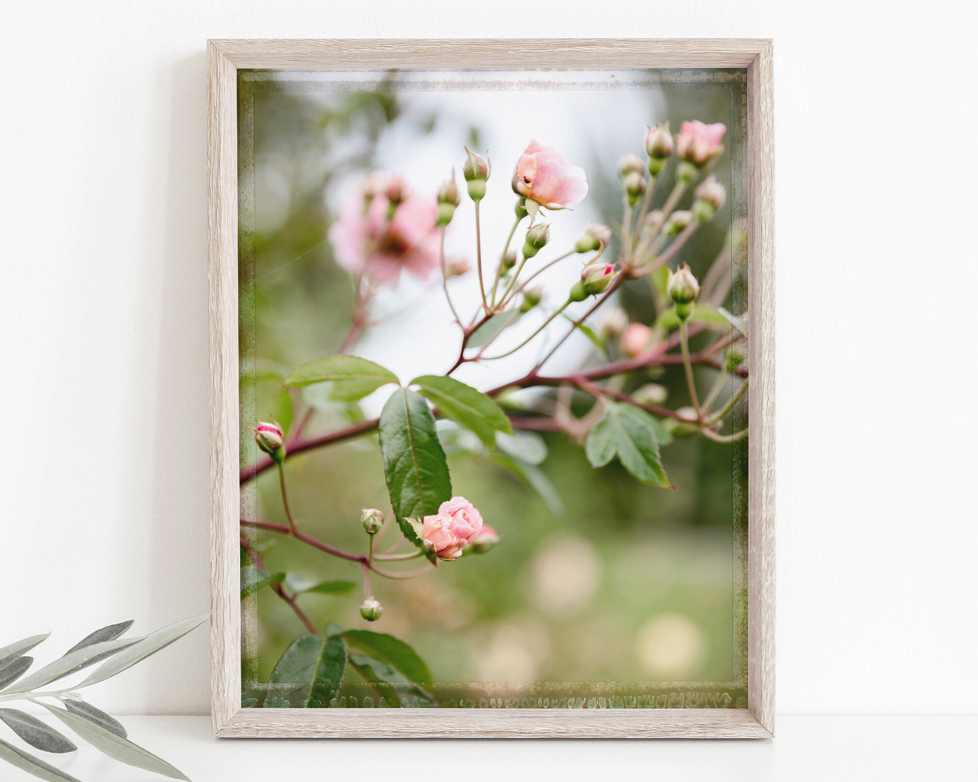 Online Store — Laura Farrell Photography