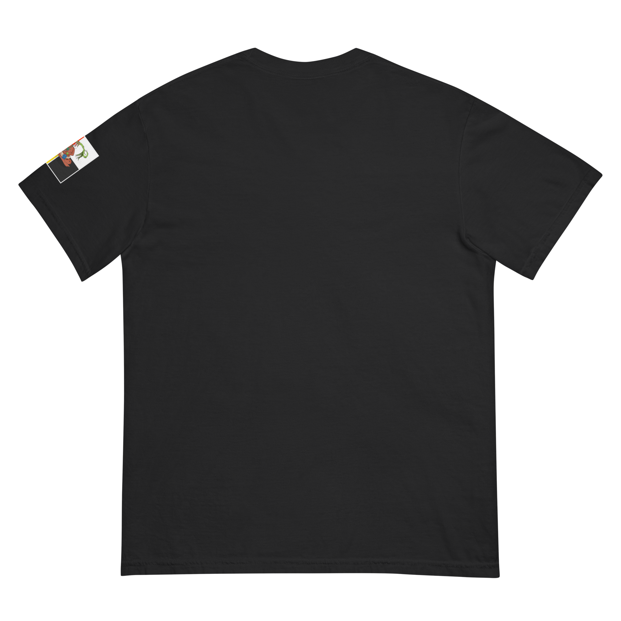 unisex-garment-dyed-heavyweight-t-shirt-black-back-674bab995ff77.png