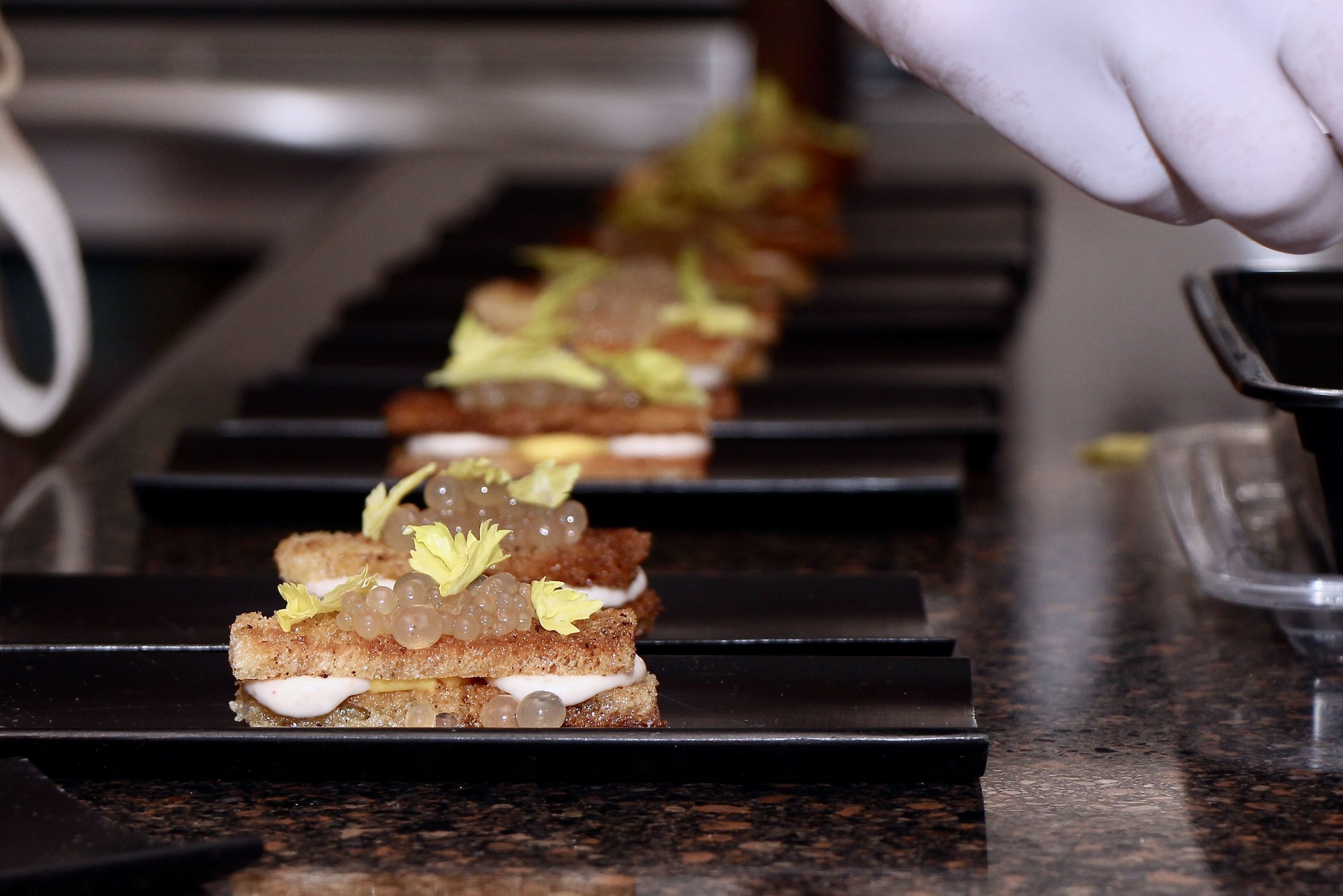 Plating 9.jpeg