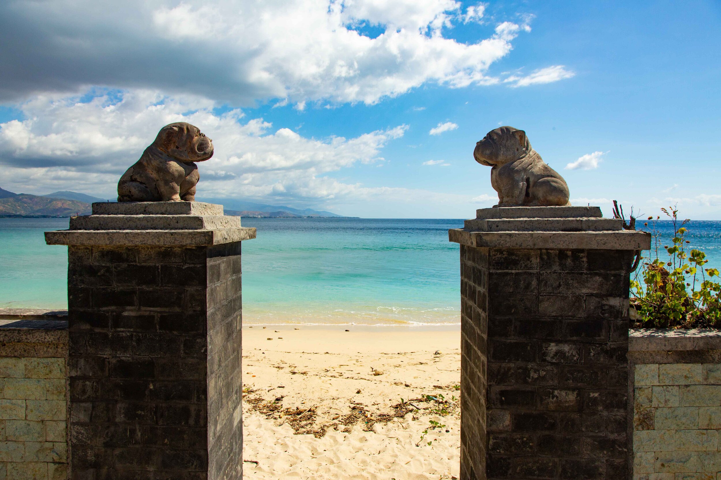 A Trans-Timor Travel Bubble