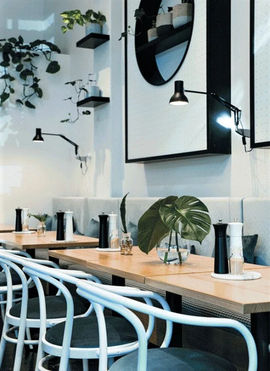 DSC_1345-and-DSC_1350-1100x733 a.jpg