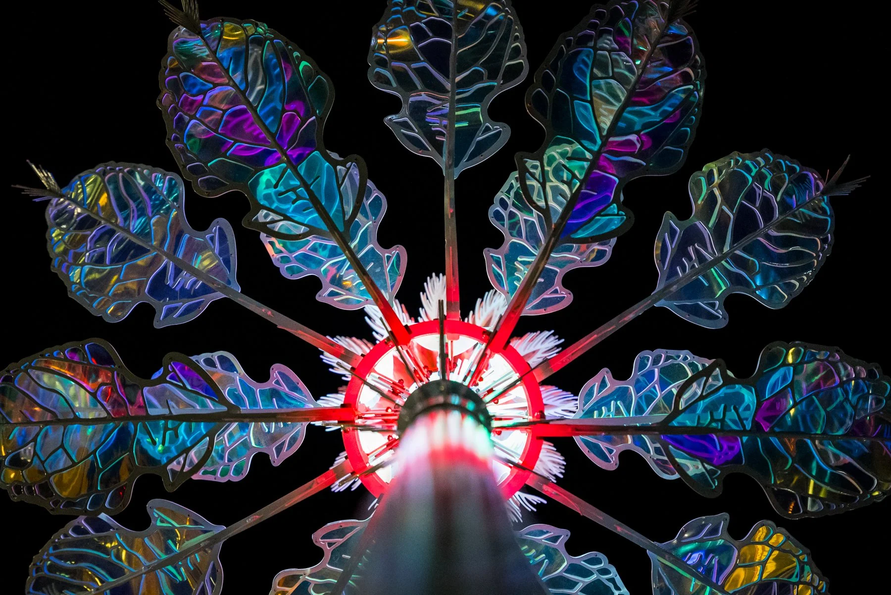 Luminescence_Hellenic Museum_SamMeuleman_28Jul23_Web-08598.jpg