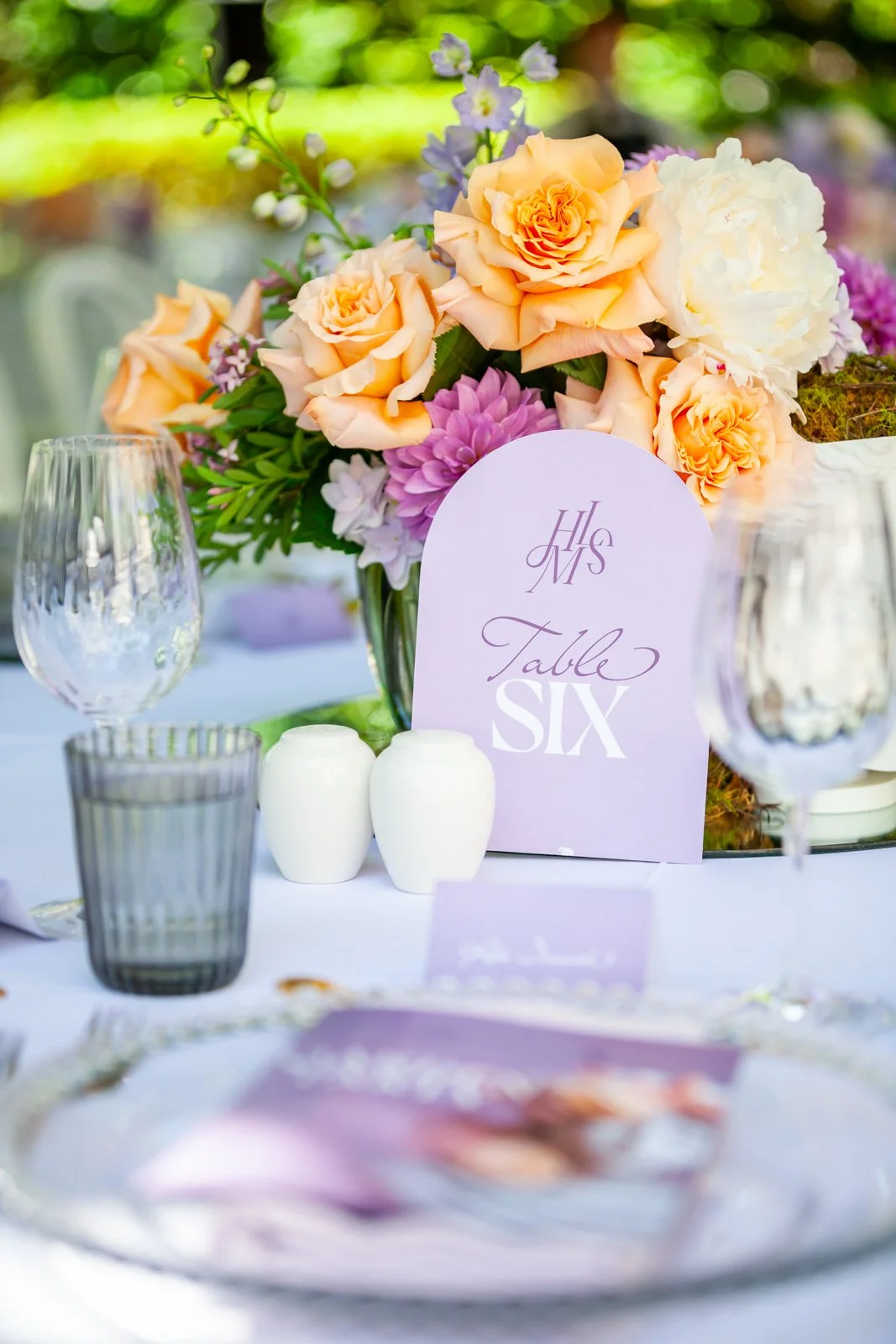 HMLSGardenParty_29Nov24_credit_SamanthaMeuleman_web-16.jpg