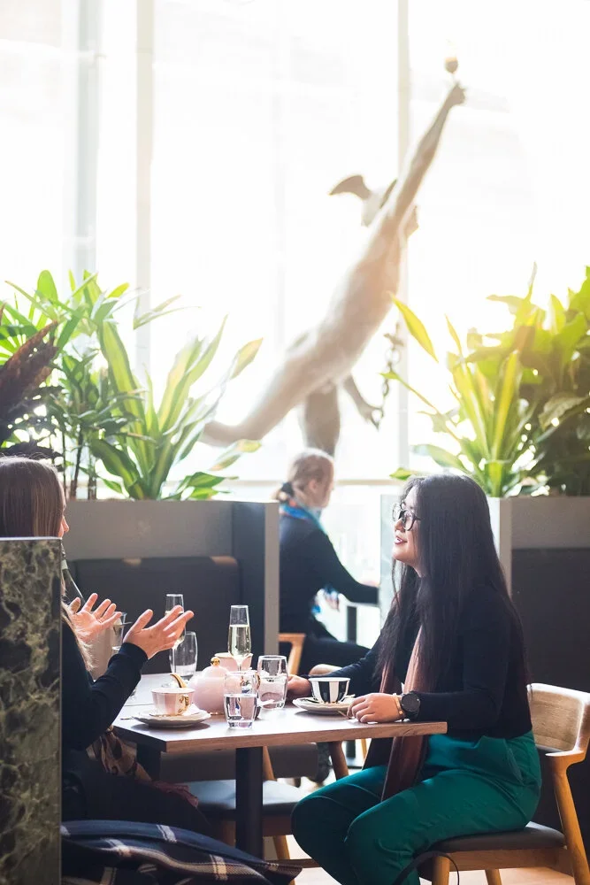 stewiedonn+LR+MelbourneMuseum-MercuryRestaurant-15.webp