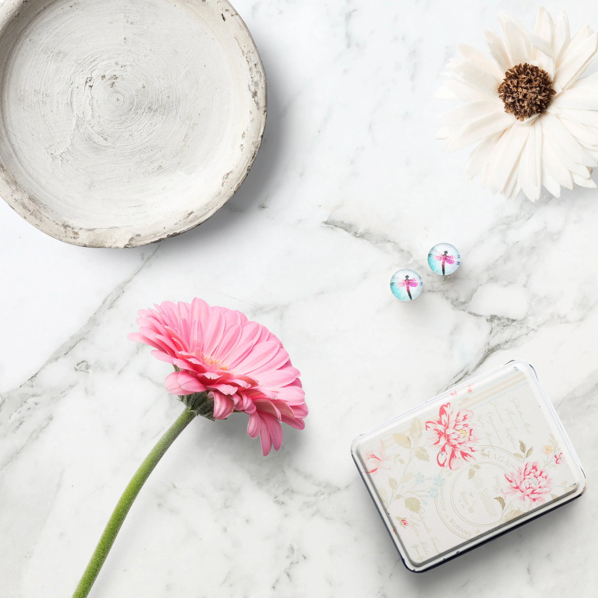 GS_FL_Pink Dragonfly.jpg