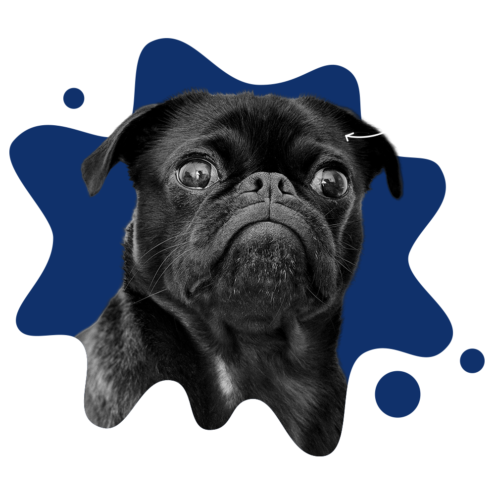 404.png