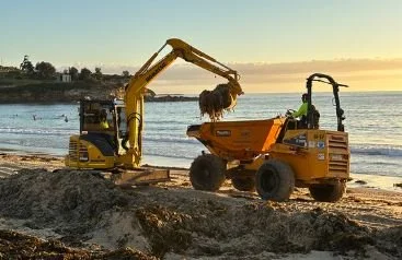 Coogee Beach Seaweed Cleanup