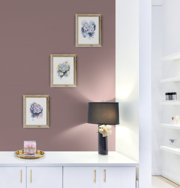 VIsion Minis_Retail_store_interior_wall.jpeg