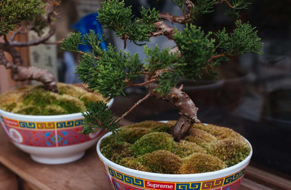 Stop with the Thank Yous!