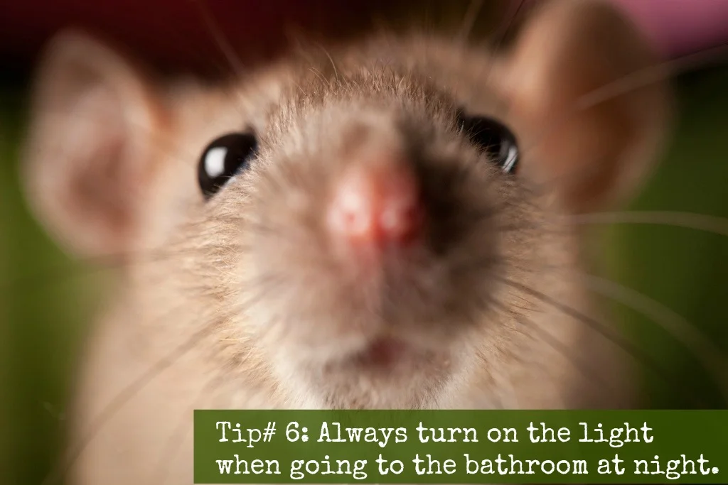 Tip #6: Always turn on the light when going to the bathroom at night