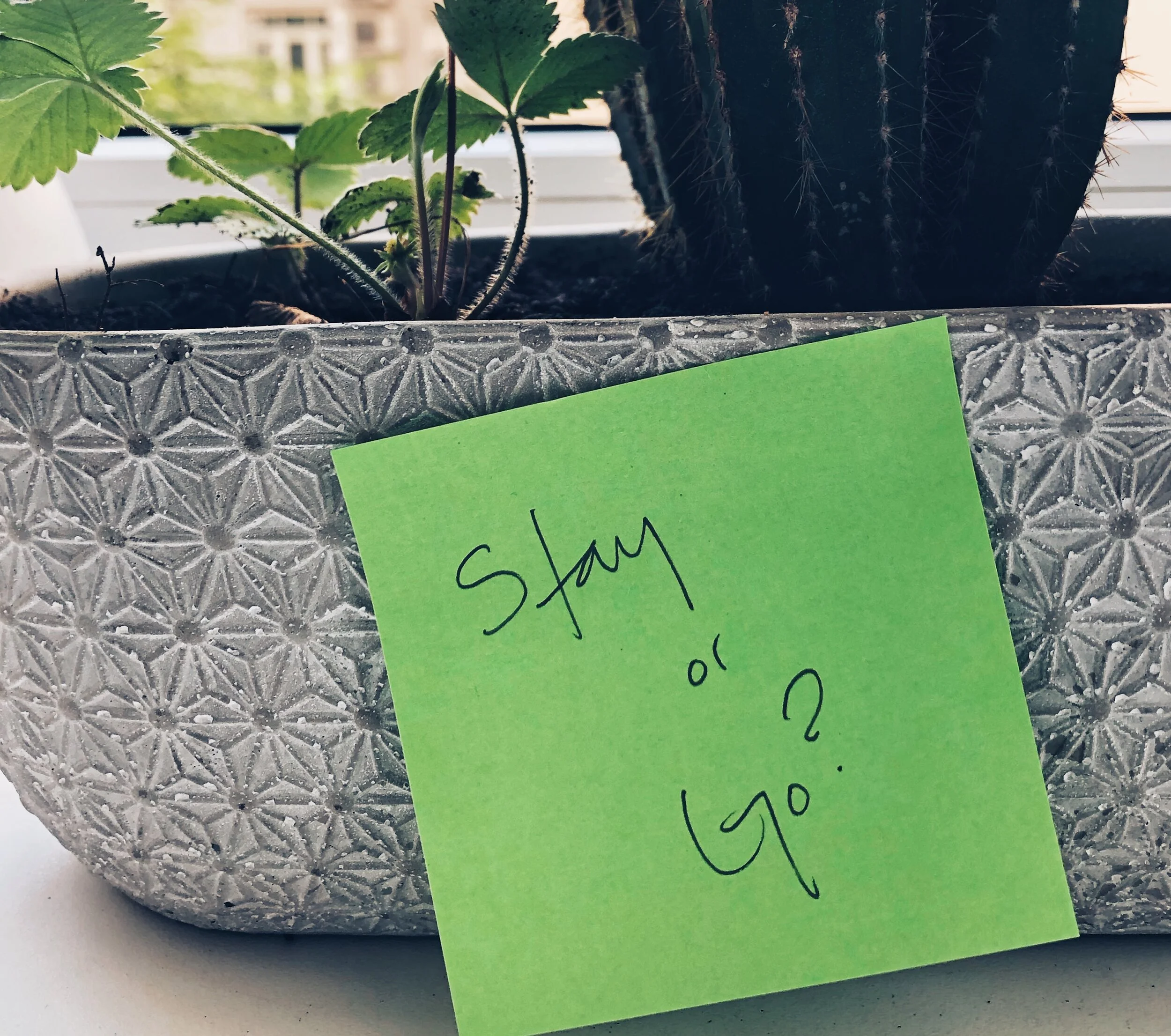 It's Tea Time Somewhere: All About Staying During a Pandemic