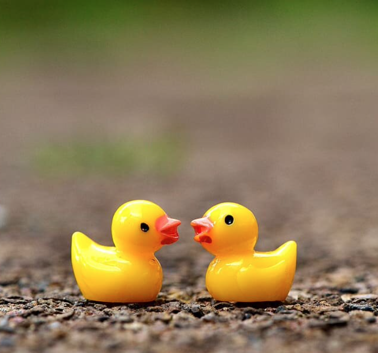 Expat Life is a Pair of Ducks