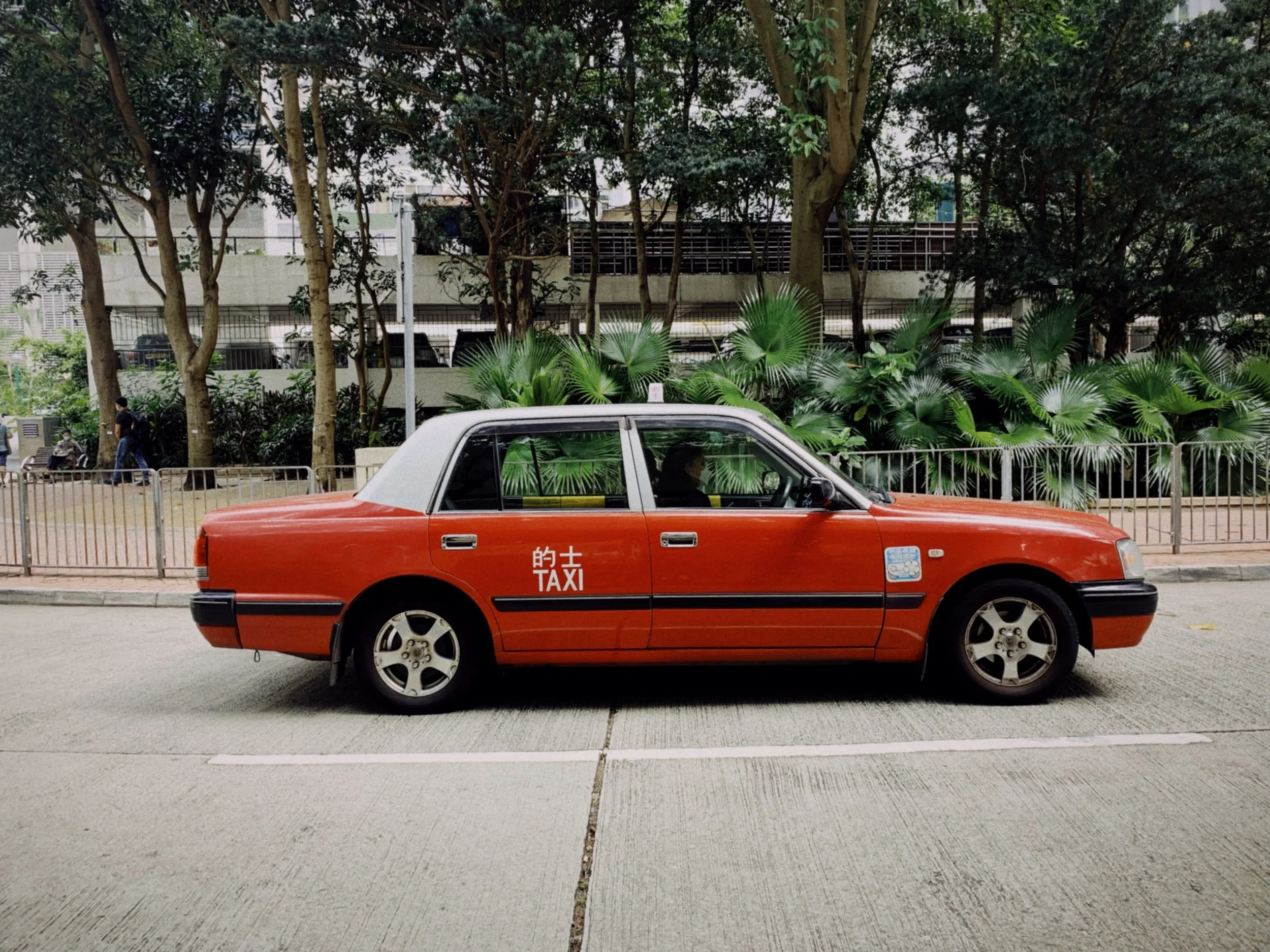 An Expat Tale of Taxis, Trains, and Turkeys