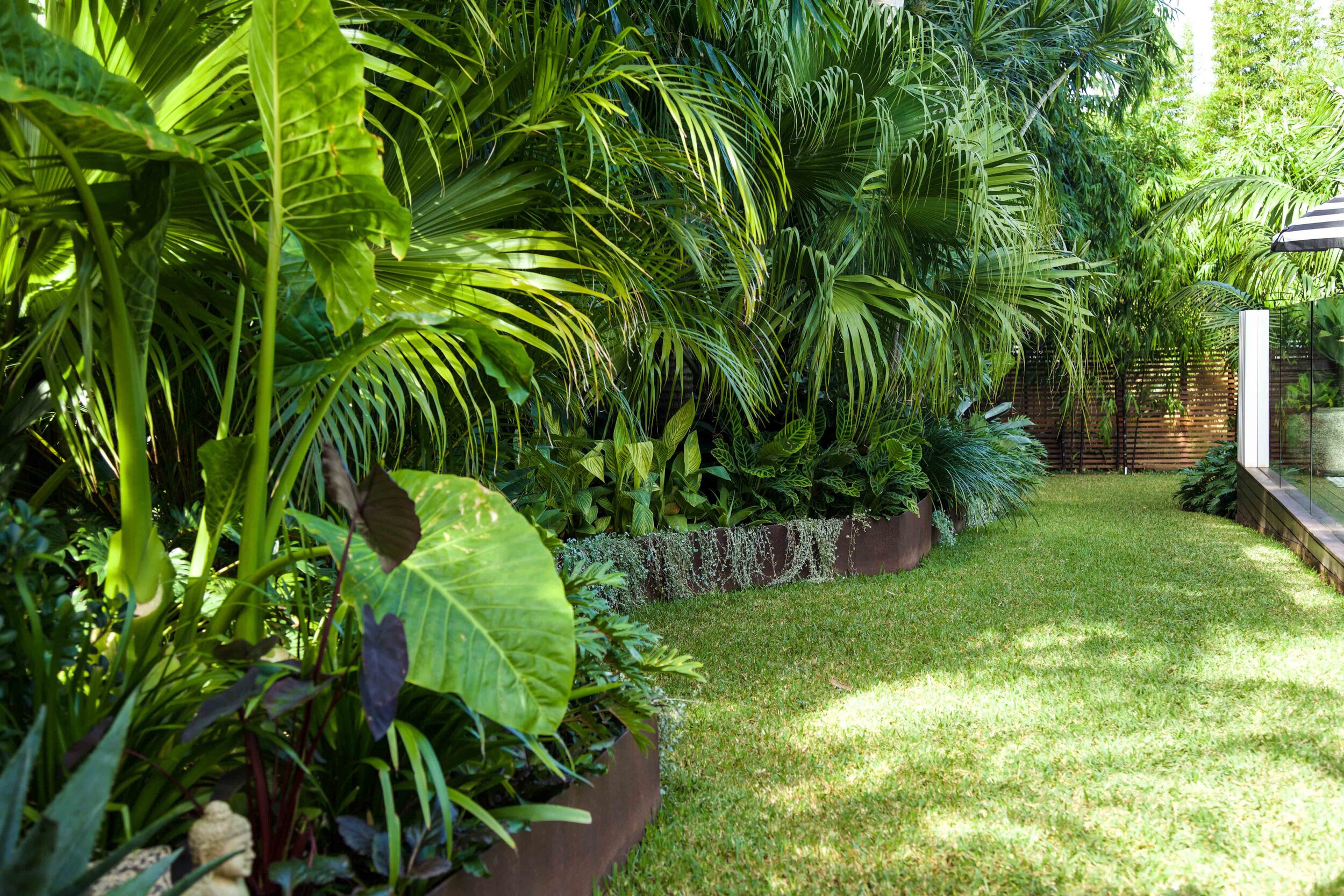 Tropical garden design.jpg