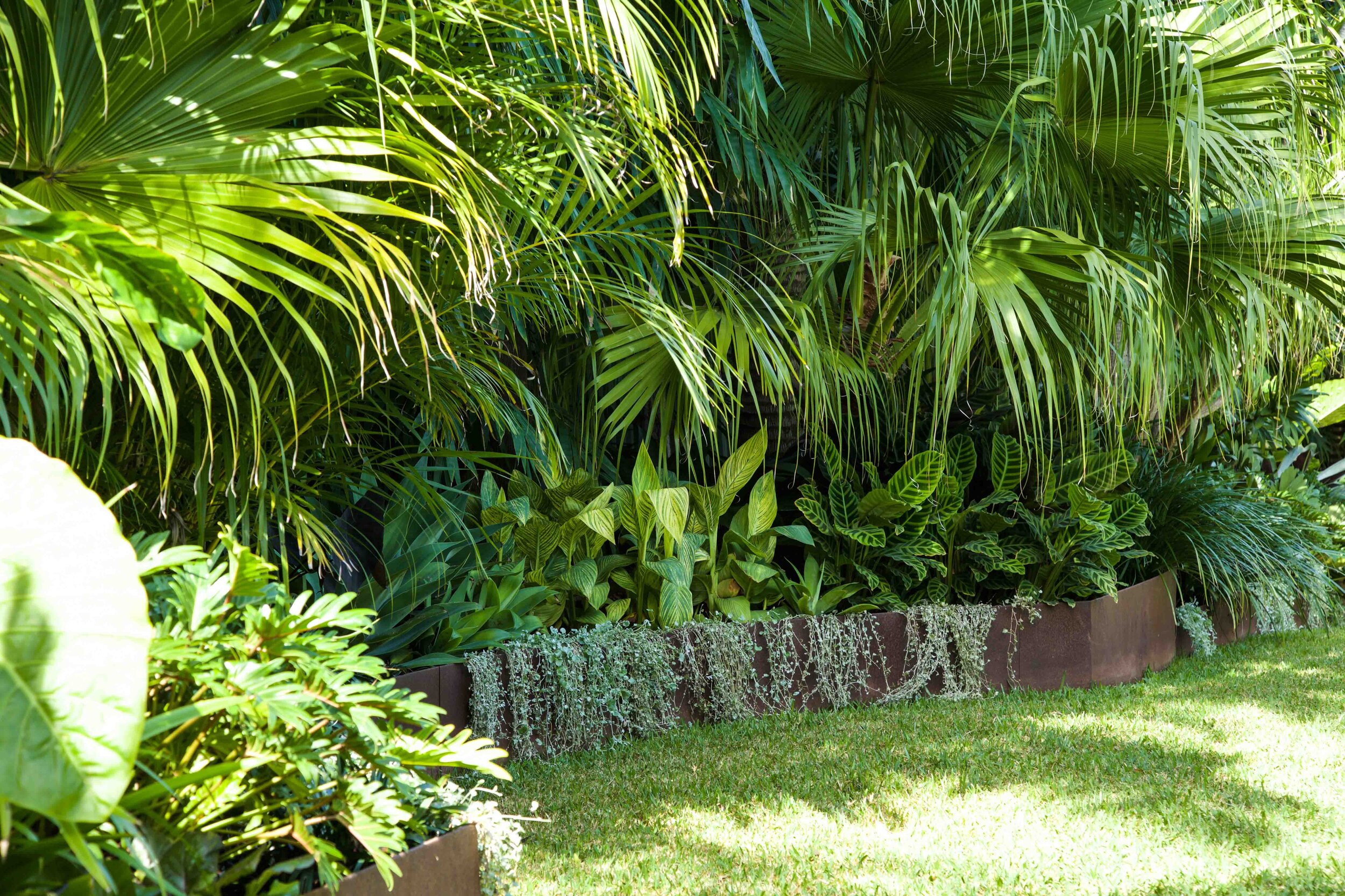 Cronulla landscaping #6.jpg