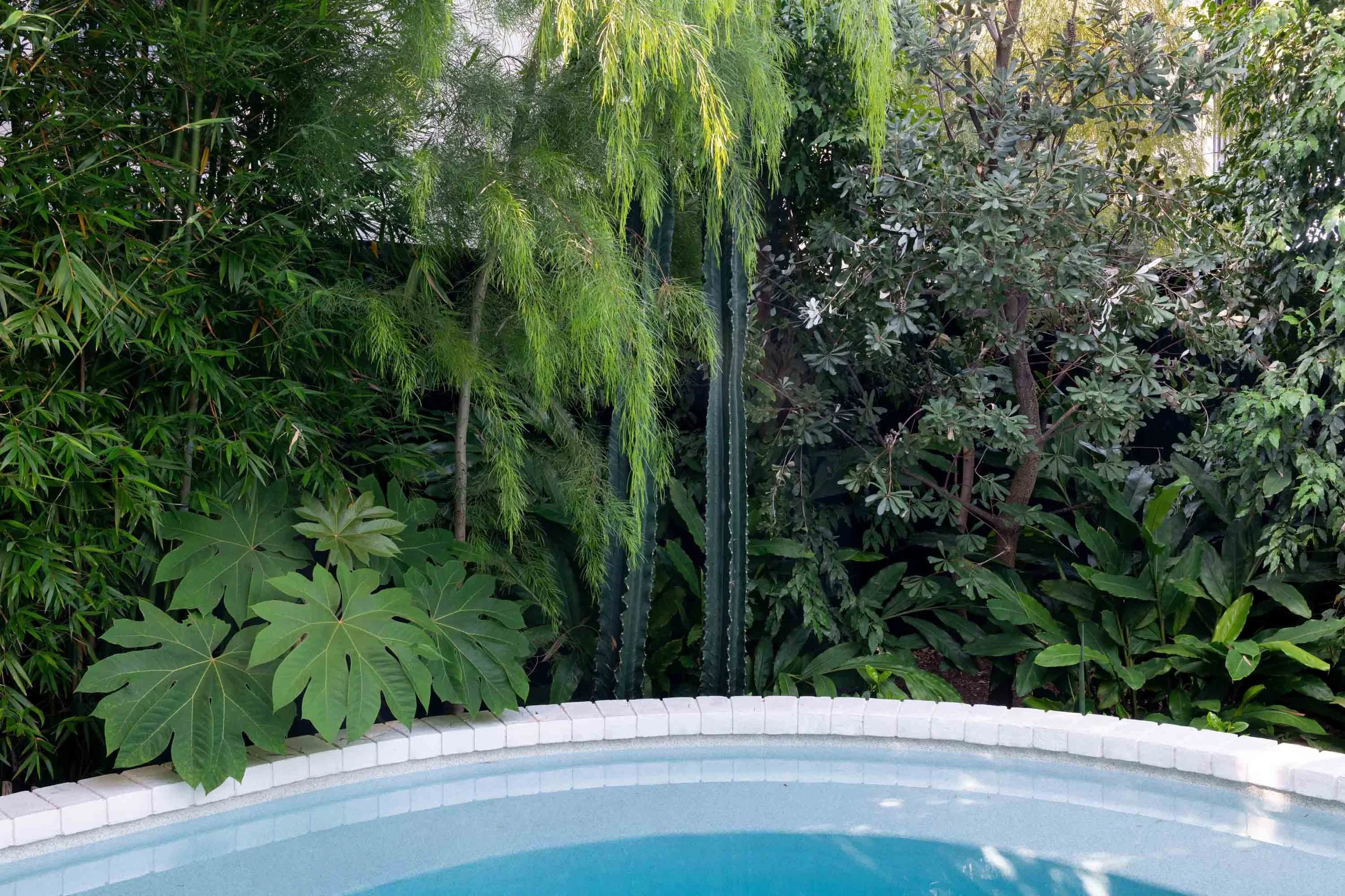 Luxury landscape design Eastern Suburbs Sydney featuring poolside garden with structured planting and modern retaining detail.jpg