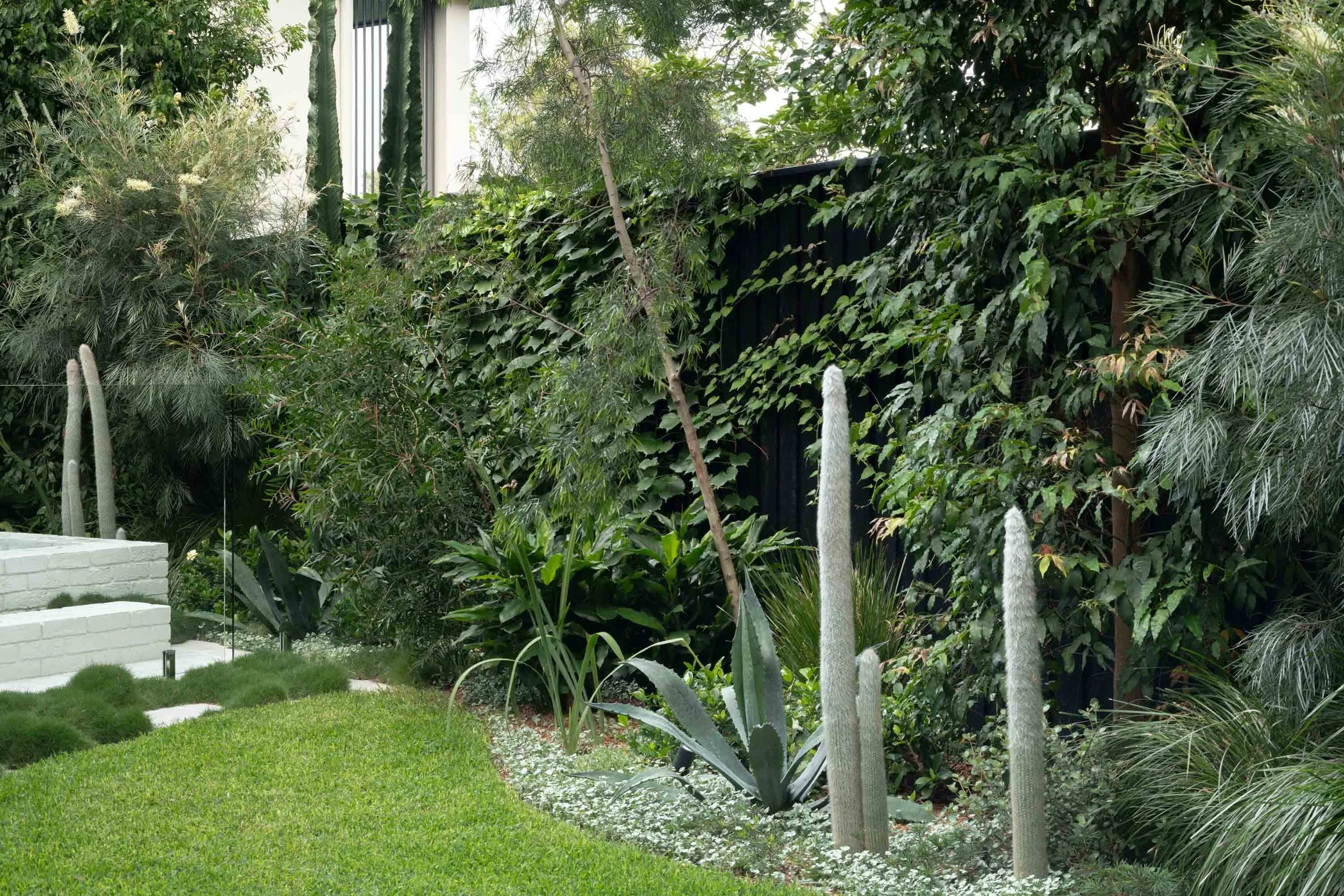 Bespoke garden design Sydney with feature cactus planting, agave and landscape edging.jpg