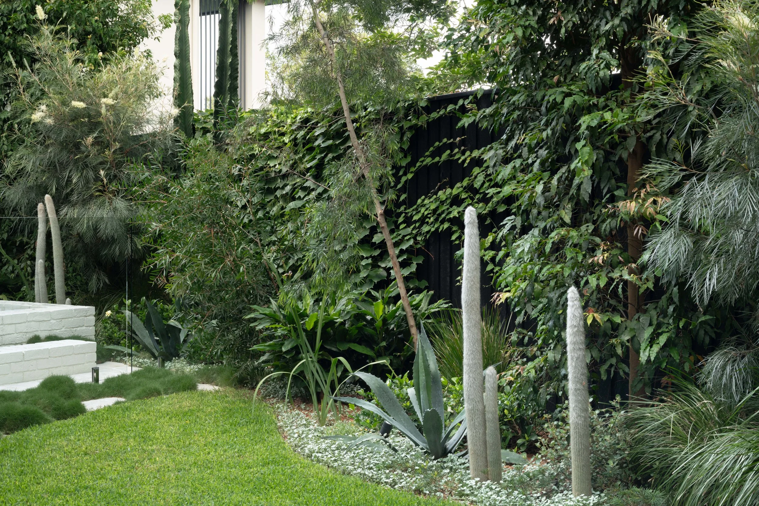 ILD - 21 BORONIA 06-12-2024_082.jpg