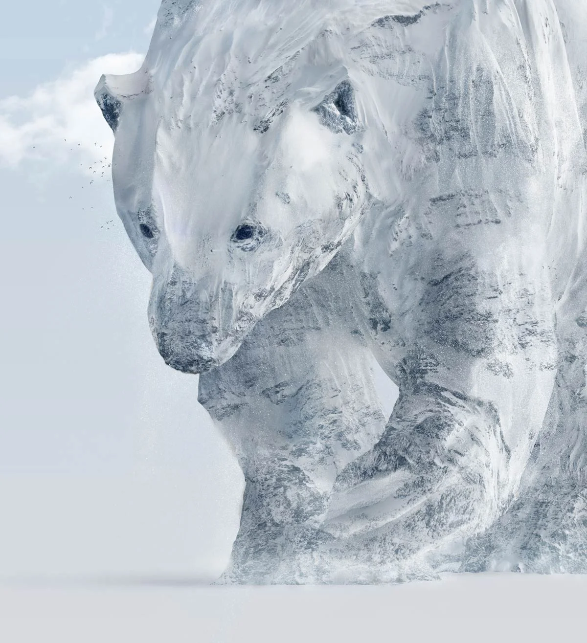 Nanook2.jpg