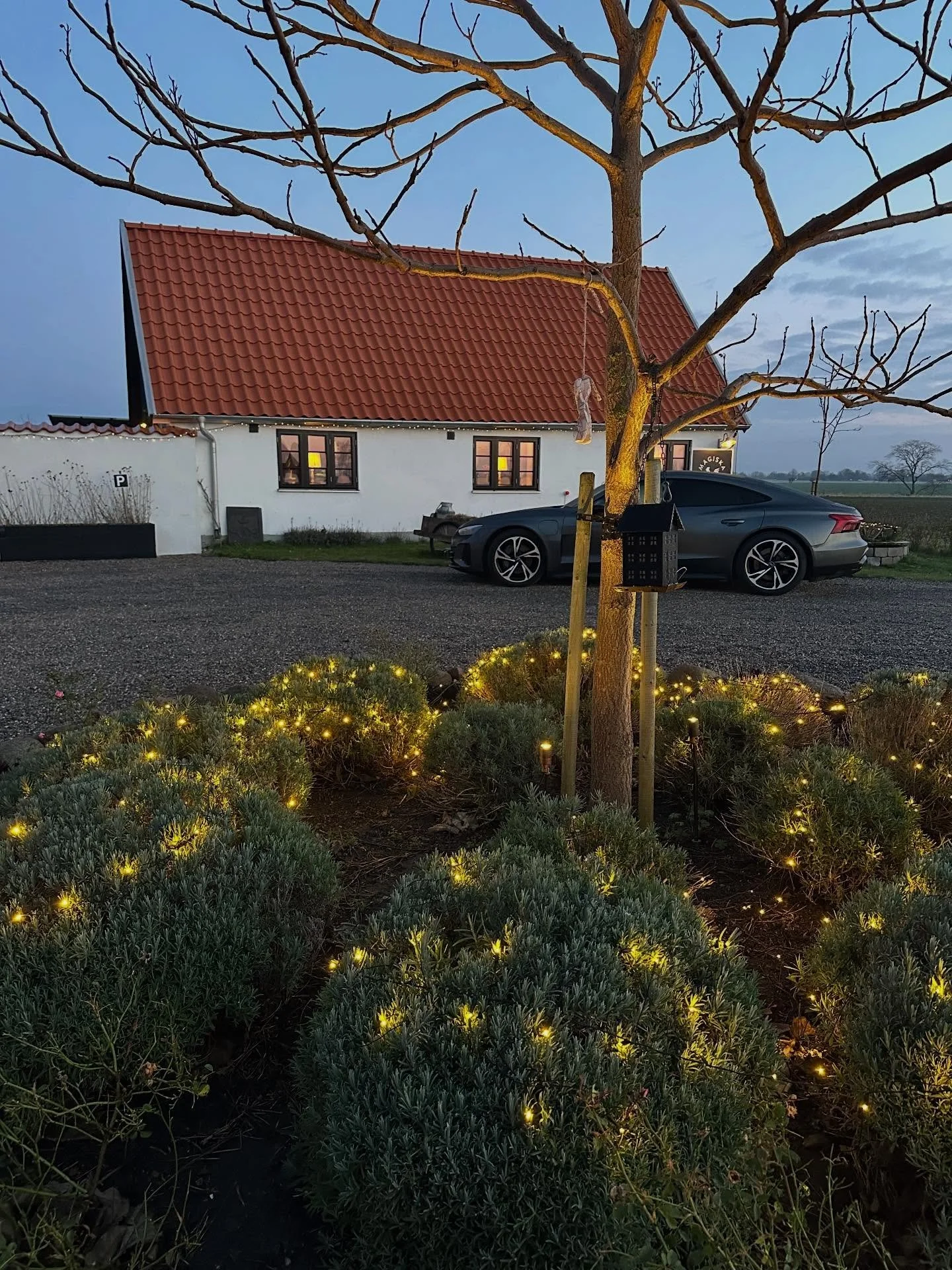 Denna morgonen p&aring; S&ouml;dersl&auml;tt 😍 Man blir bara glad ☺️