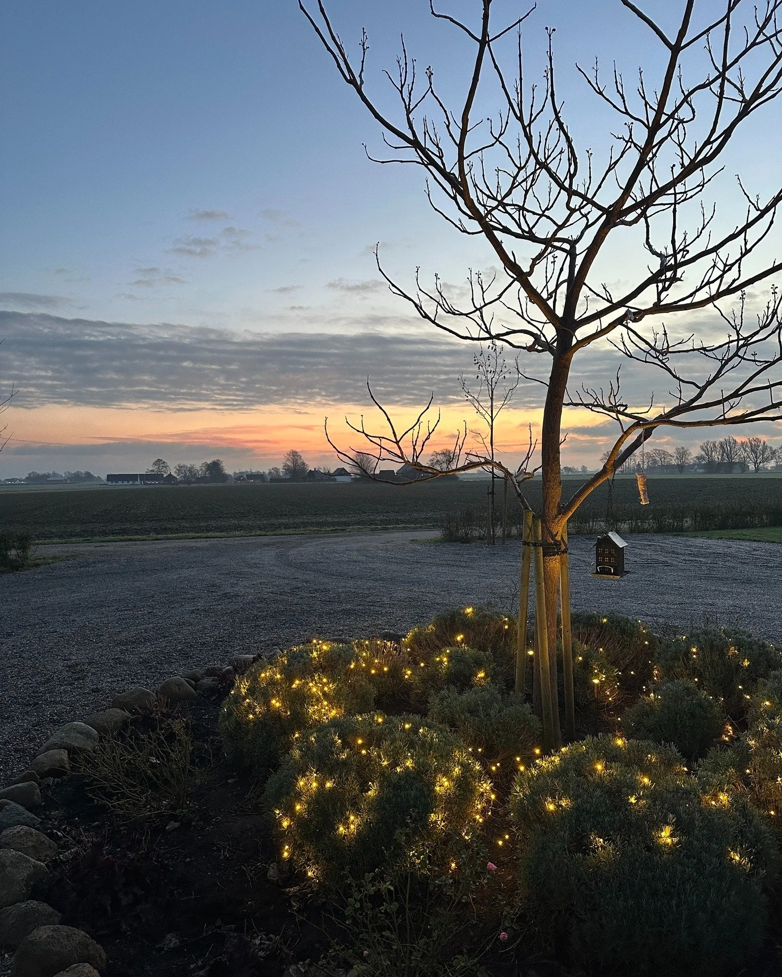 🎄✨ God jul och gott nytt &aring;r till alla v&aring;ra kunder! ✨🎄

Stort tack f&ouml;r all v&auml;rme, ert engagemang och alla fina m&ouml;ten sedan &ouml;ppningen. Det har betytt otroligt mycket f&ouml;r oss att f&aring; v&auml;lkomna er in i buti