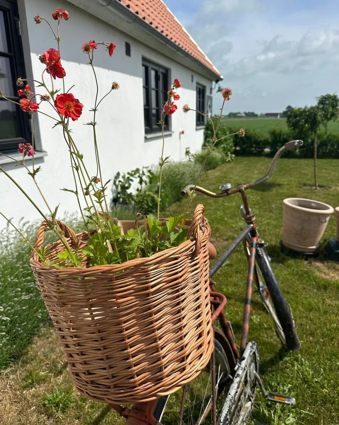 Sommaren flyttar in hos oss &ndash; en m&ouml;bel i taget 🌿

Vi forts&auml;tter att packa upp tr&auml;dg&aring;rdsm&ouml;bler och skapa inspirerande milj&ouml;er f&ouml;r terrassen, tr&auml;dg&aring;rden, v&auml;xthuset och uterummet. Och det b&auml